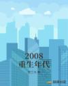 2008重生年代