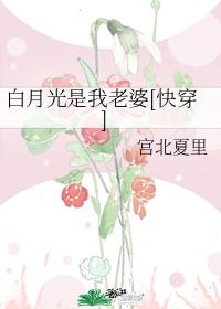 白月光是我老婆[快穿]