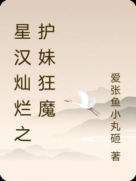 星汉灿烂之护妹狂魔