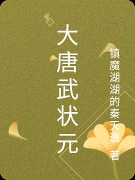 大唐武状元