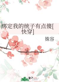 绑定我的统子有点傻[快穿]