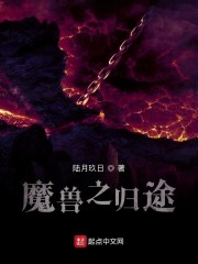 魔兽道标归途