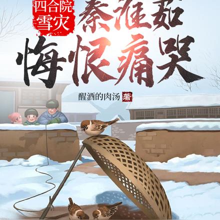 四合院：雪灾，秦淮茹悔恨痛哭