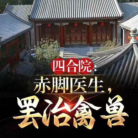 四合院：赤脚医生，罢治禽兽