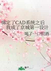 绑定了CAD系统之后，我成了京城第一设计师