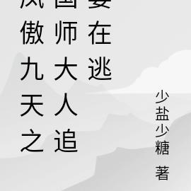 凤傲九天之国师大人追妻在逃