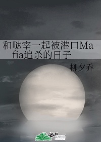 和哒宰一起被港口Mafia追杀的日子