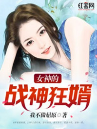 女神的战神狂婿纪飞李若汐