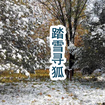 踏雪寻狐