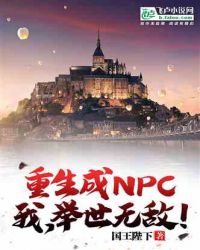 重生成npc，我，举世无敌！